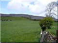 M2606 : Pasture, Kilweelran Townland by Mac McCarron
