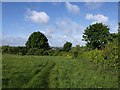 Dog exercise area, Windmill Hill