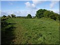 Dog exercise area, Windmill Hill (2)