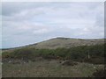 View across Heatree Down