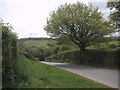 Road over Nattadon Common