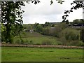 Blaenbargoed farm Cwmduad.