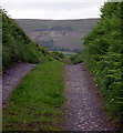 Track to Blaen-cwm-Bychan