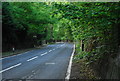 Shipbourne Rd through Carroty Wood