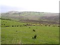 Meenagarragh Townland