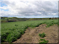 Farmland looking over to Cilevan