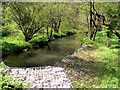 River Cynin from Country Road