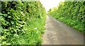 Church Lane, Lisburn