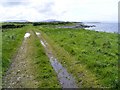 M3616 : Southwest along the coast to Rincarna Point, Killeenaran Townland by Mac McCarron