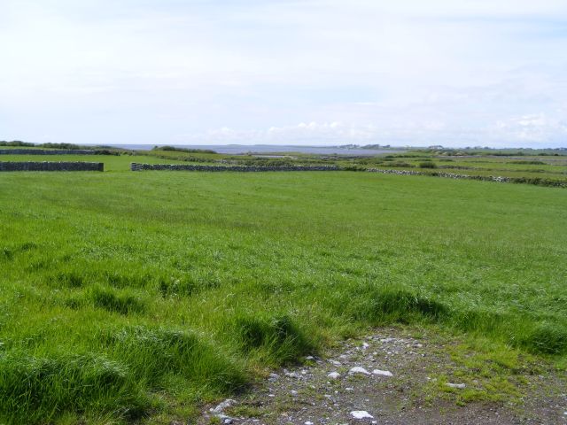 Looking over silage field towards Ashilede Point, Tyrone Townland