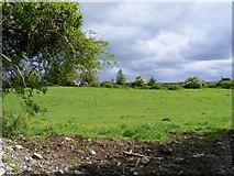 M4211 : Pasture - Drumharsna North Townland by Mac McCarron