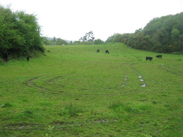 Wet grazing
