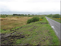 V7396 : Lane near Tullig by David Medcalf