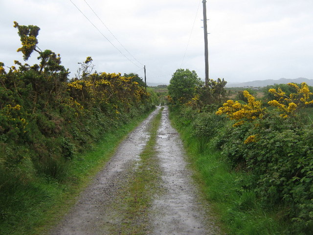 Farm track near Tullig