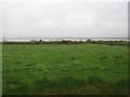 V7098 : Fields on the peninsula by David Medcalf