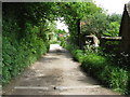 Cottages along side bridleway at Streat