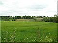 View across the Fynn Valley