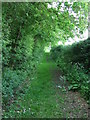 Green Footpath