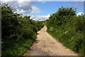 Track to The Ridgeway