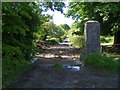 M4406 : Entrance to farm track - Raheen Demesne Townland by Mac McCarron