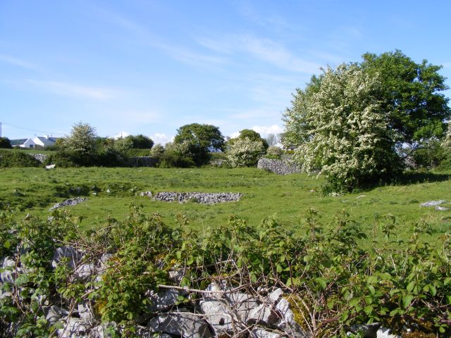 Rough pasture, Killomoran Townland