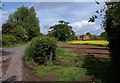 Lake Lane near Tyning