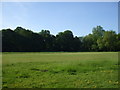 Tooting Bec Common