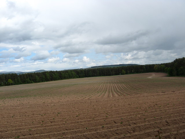Ploughed field near Ormiston Mains