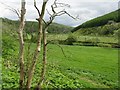 The valley of Crawick Water