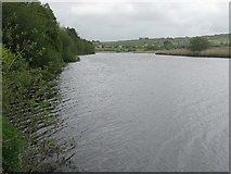 V7897 : The River Laune by David Medcalf