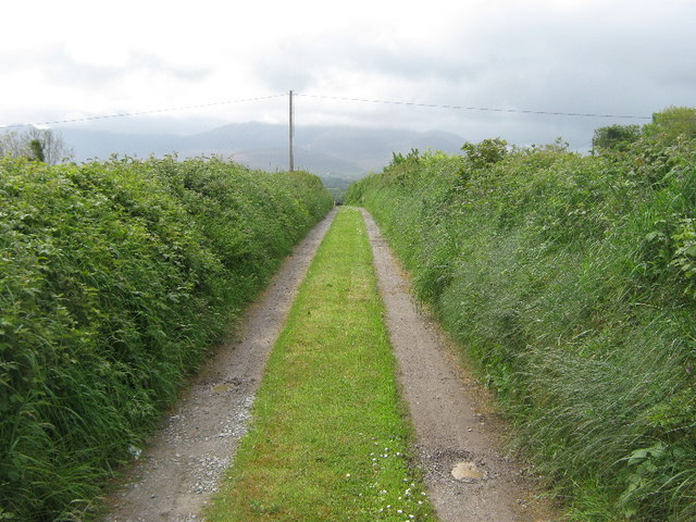 Lane near Killorglin