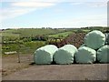 Silage store at Llwyncalenig.