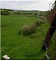 Valley below Pen-y-waun.