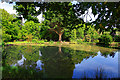 Open Day at Rempstone Hall - Garden Pond