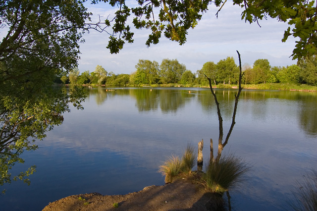 Eastrington fishing pond © Paul Harrop cc-by-sa/2.0 :: Geograph Britain ...