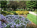 Floral display in Central Park