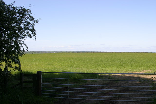View of Prestwick Carr from Fox Covert