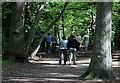 Dog Walking Party in Highgate Wood