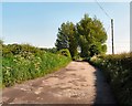 Bridleway to Goyt Hall