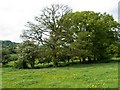 Field Corner in the Painswick Valley