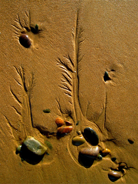 Newburgh: patterns in the sand on Newburgh beach