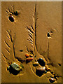 NK0024 : Newburgh: patterns in the sand on Newburgh beach by Martyn Gorman