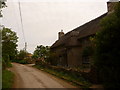 Milton Clevedon: Random Thatch