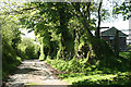 Widecombe in the Moor: lane near Dockwell