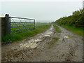 Track to Penygraigisaf, near Login