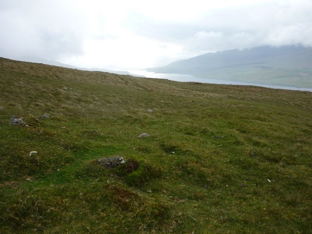 Grassy hillside above Ardeonaig