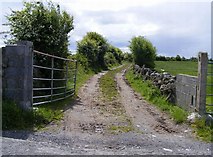 M4311 : Farm track or boreen - Rooaunmore Townland by Mac McCarron