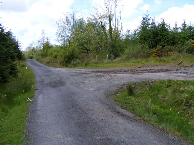 Road junction in the forest - Boleyneendorrish Townland