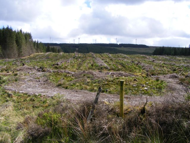 Clear felled - Toormacnevin Townland