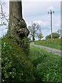 Deeping Lane near Market Bosworth